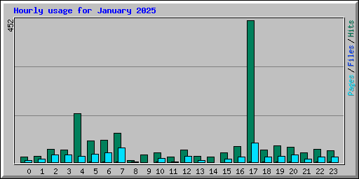 Hourly usage for January 2025