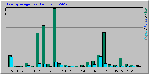 Hourly usage for February 2025