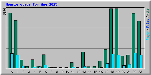 Hourly usage for May 2025