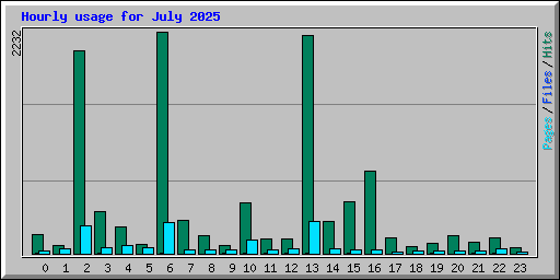 Hourly usage for July 2025