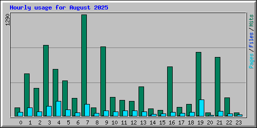 Hourly usage for August 2025