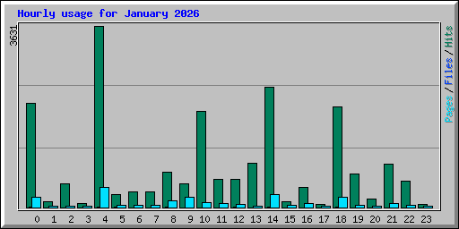 Hourly usage for January 2026