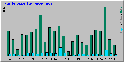 Hourly usage for August 2026