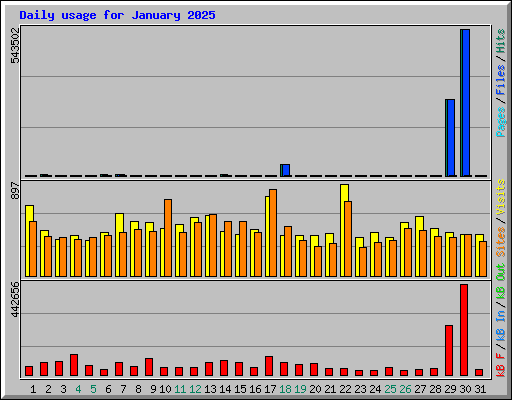 Daily usage for January 2025