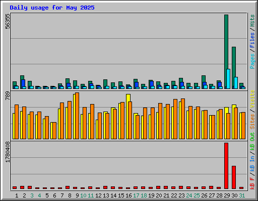 Daily usage for May 2025