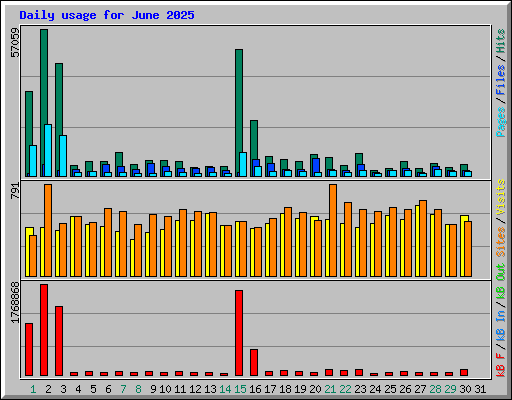 Daily usage for June 2025