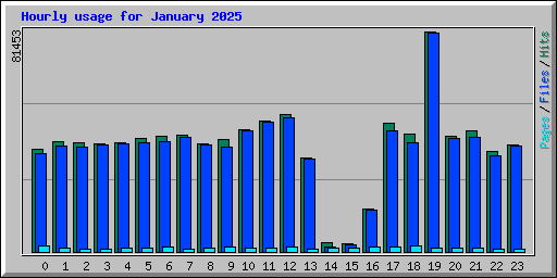 Hourly usage for January 2025