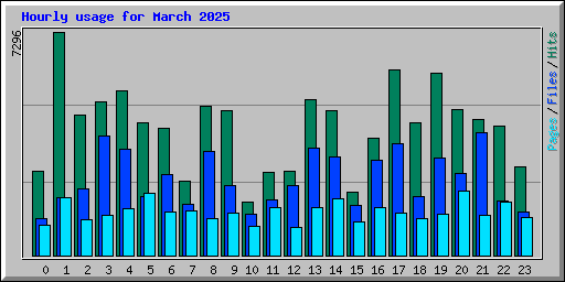 Hourly usage for March 2025