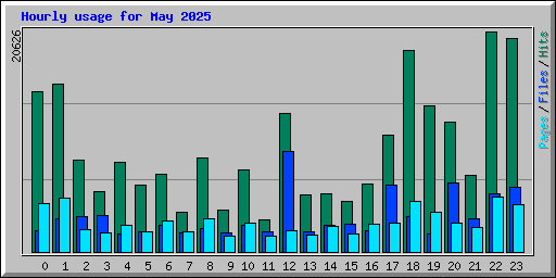 Hourly usage for May 2025
