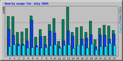 Hourly usage for July 2025
