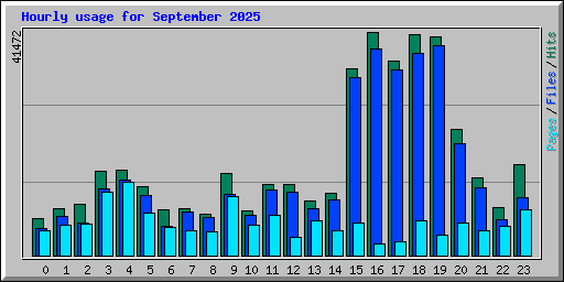 Hourly usage for September 2025