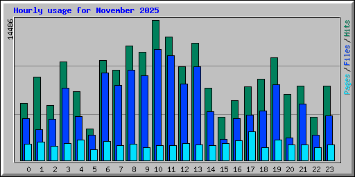 Hourly usage for November 2025