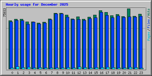 Hourly usage for December 2025