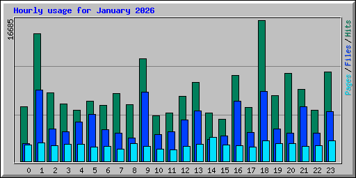 Hourly usage for January 2026
