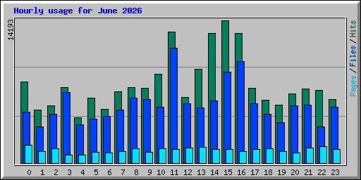 Hourly usage for June 2026
